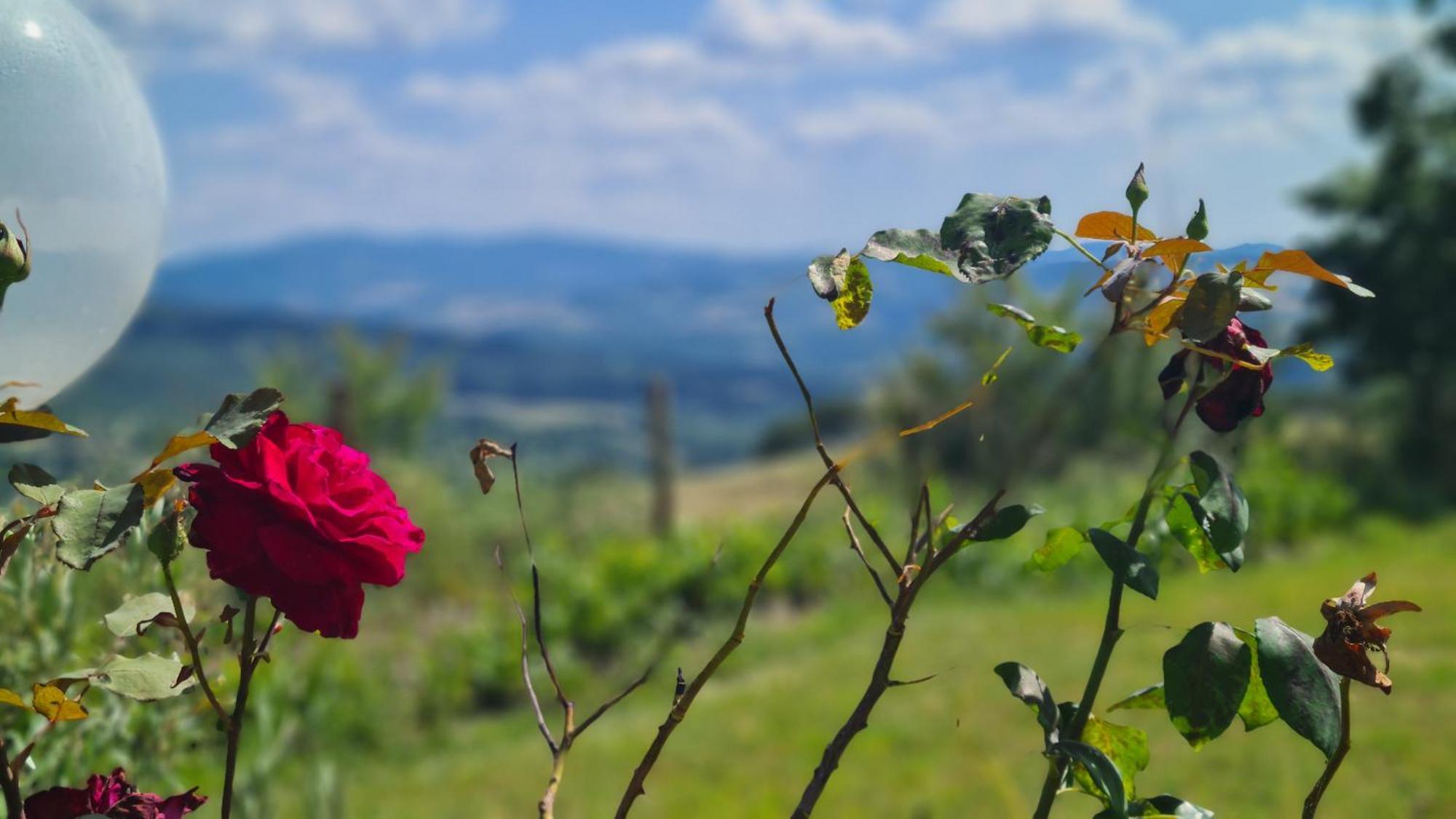 Appartamento Il Nido Volterra Exterior foto
